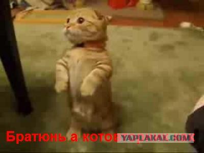 Всем срочно улыбаться!