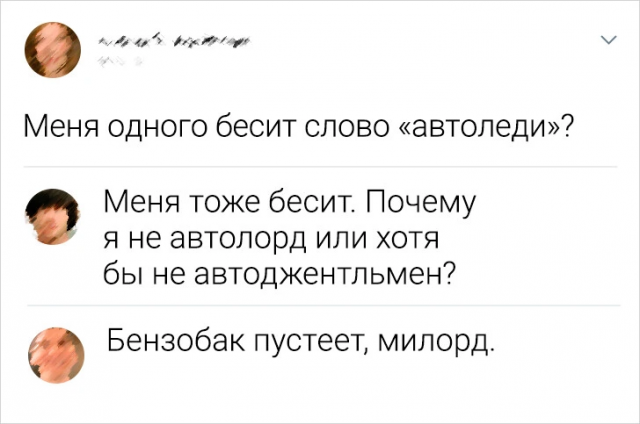 Весёлый полтишок 06.02.24