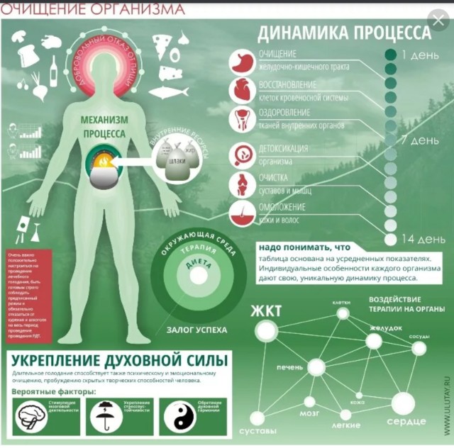 Зелёная тема
