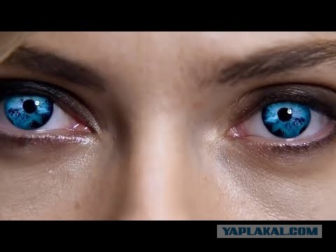Что происходит с мозгом, когда бросаешь пить