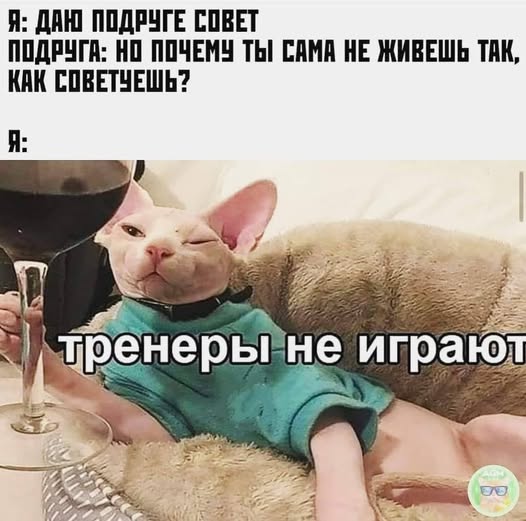 Баяны: август 2023 г - декабрь 2023 г