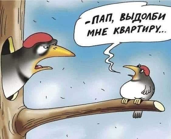 Последняя маленькая пятница августа.