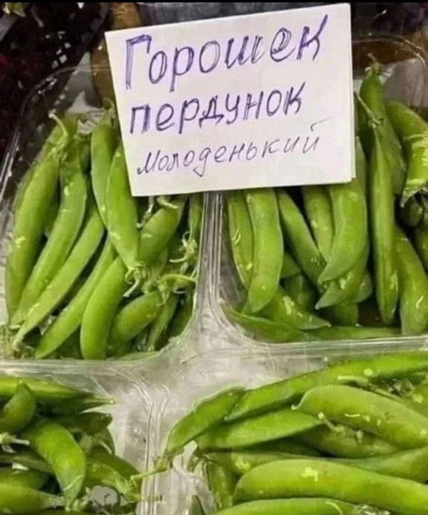 Утром в газете, вечером в баяне