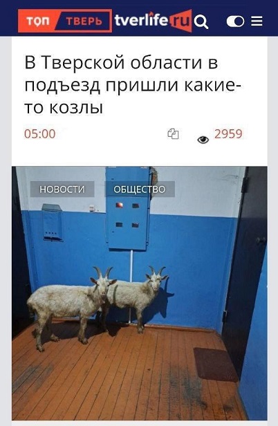 Спустя два стакана