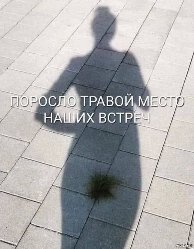 Забавные и не очень скромные картинки - 14