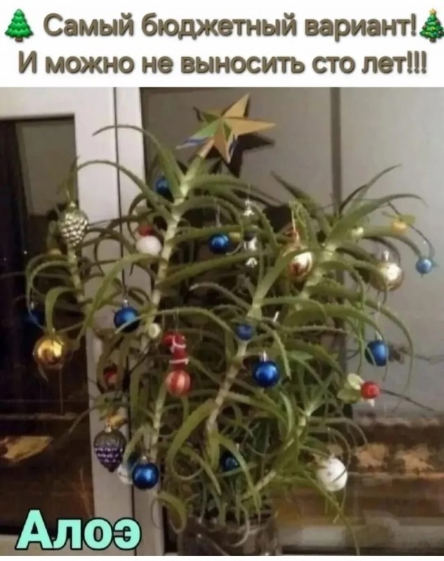 Среды картинки