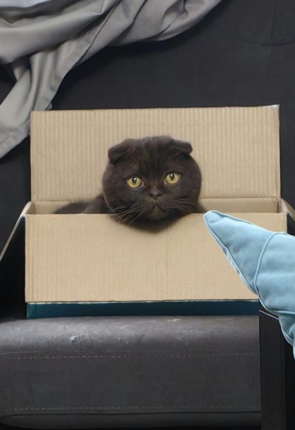 Котокоробковое