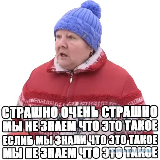 Камрады, что это такое?