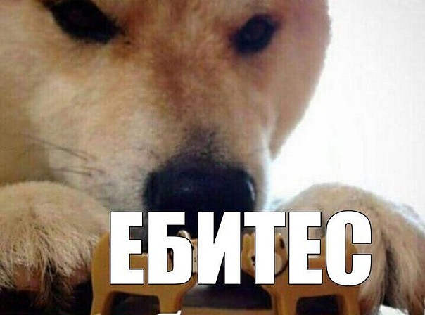 Поддержал так поддержал