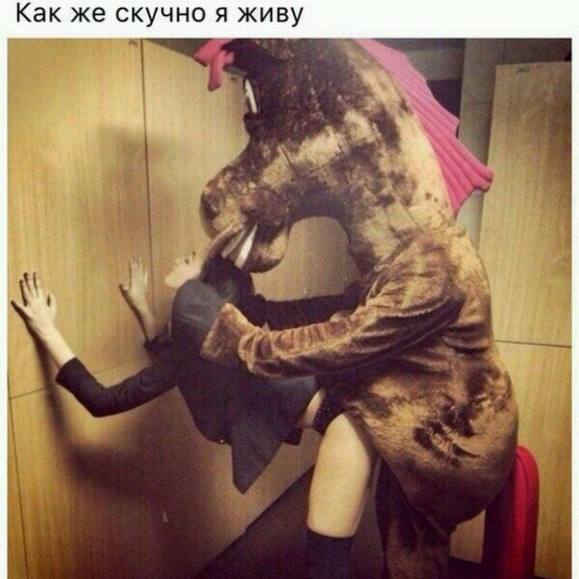 Картиночки, баянчики 24 апреля