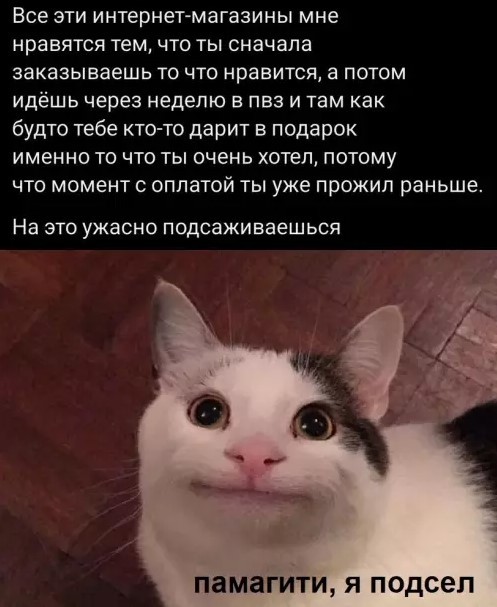 Картинки для деградации 231 (разной степени свежести)