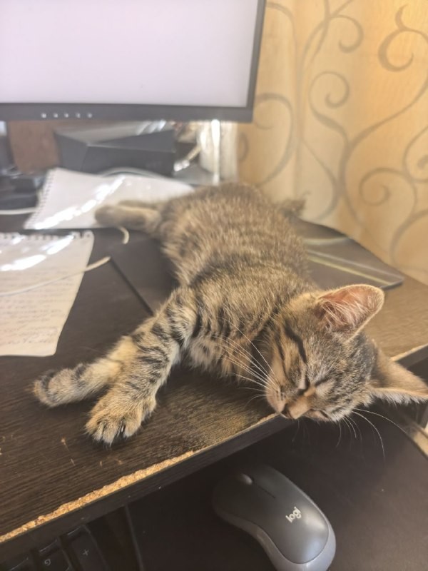 Долго мечтал, хотел и стал РАБОМ!