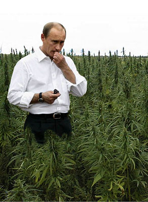 Легализация марихуаны
