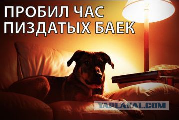 Шинник - Спартак. Драка с Омоном