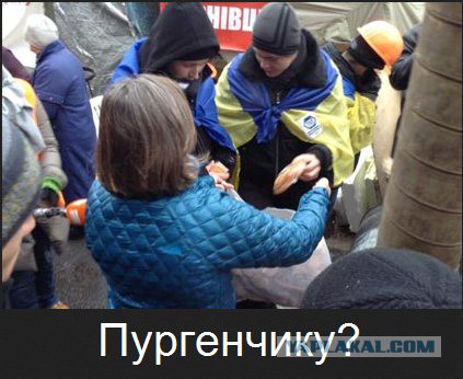 Беркут пошел на штурм