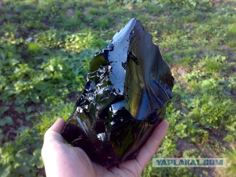 В Японии изобрели зубную пасту, заделывающую дырки