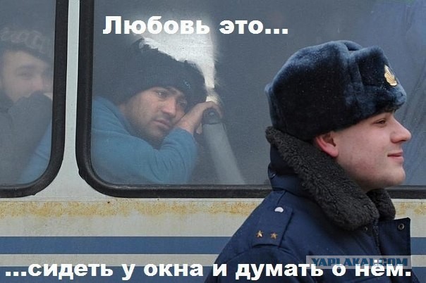Веселые картинки? а так же комментарии)
