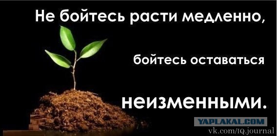 Митинг в Донецке