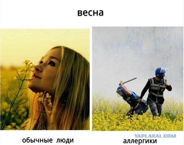 Так выглядят аллергики в мае