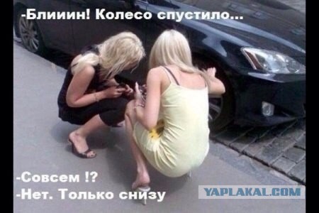 Комментарии из социальных сетей
