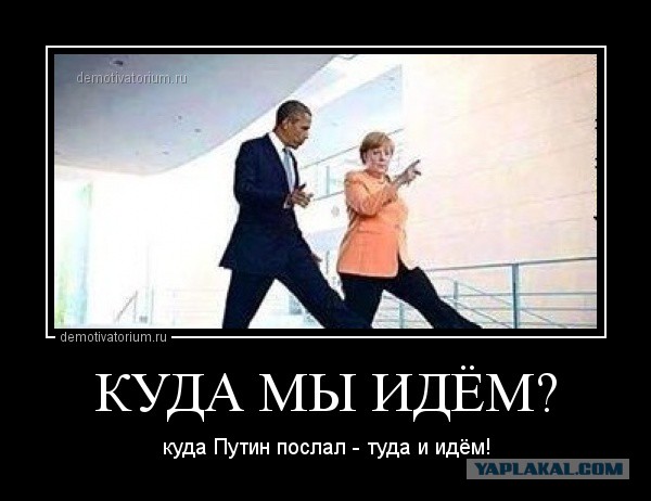 Добряки, плюсующие всех подряд