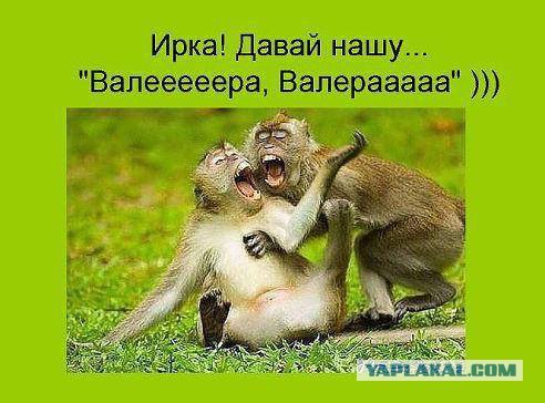 Веселые картинки, пятница.