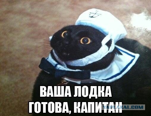 Гифки для поднятия настроения