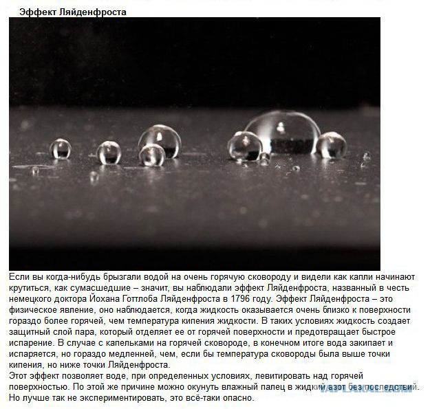 20 фактов обо всем