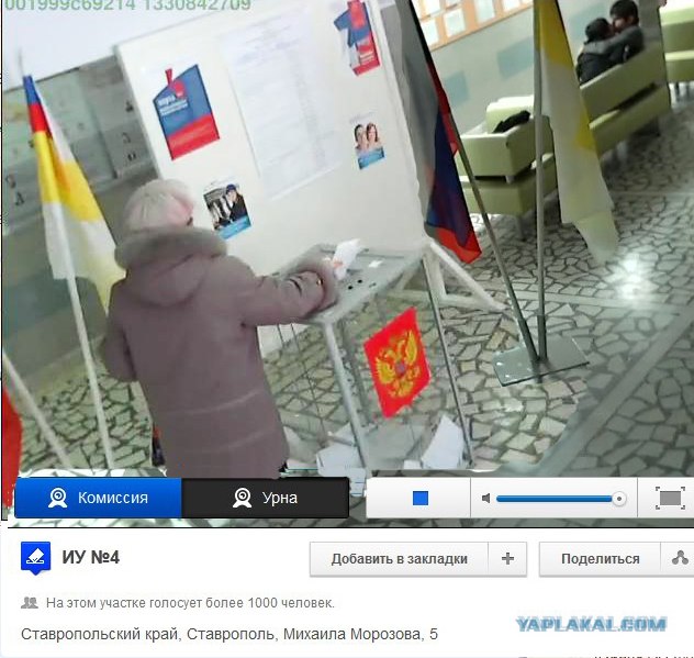 Веб-камеры на избирательных участках