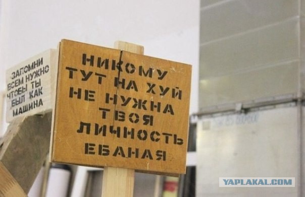 Забавные картинки.
