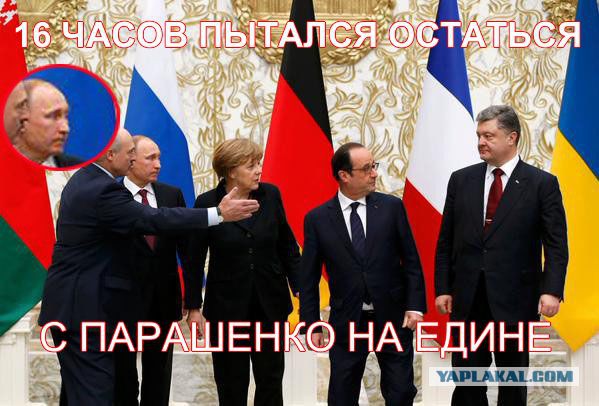 Предлагаю пожабить