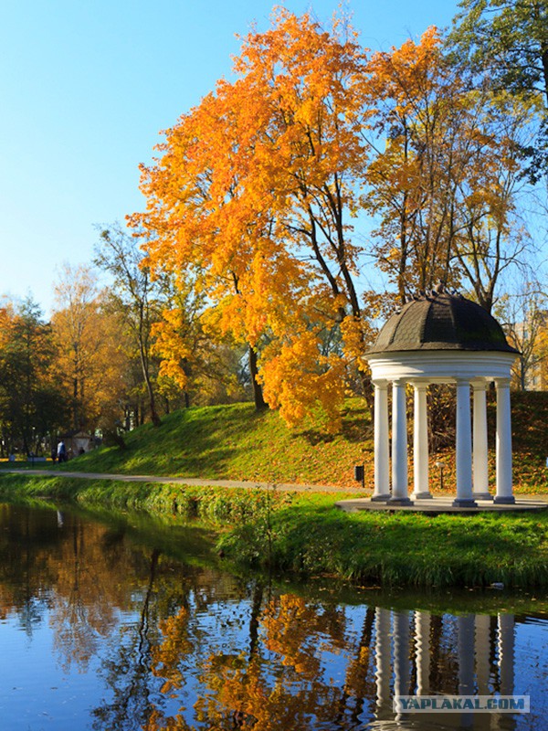 Хроники несожженного фотографа