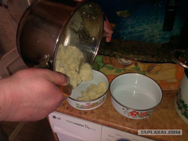 Как зарукожопить домашний сыр