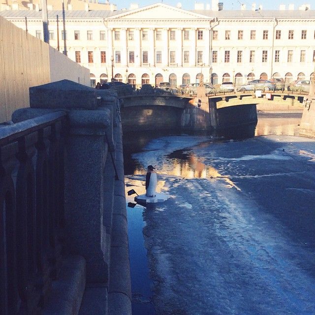 Приколы нашего Городка