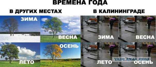 Случай на пляже