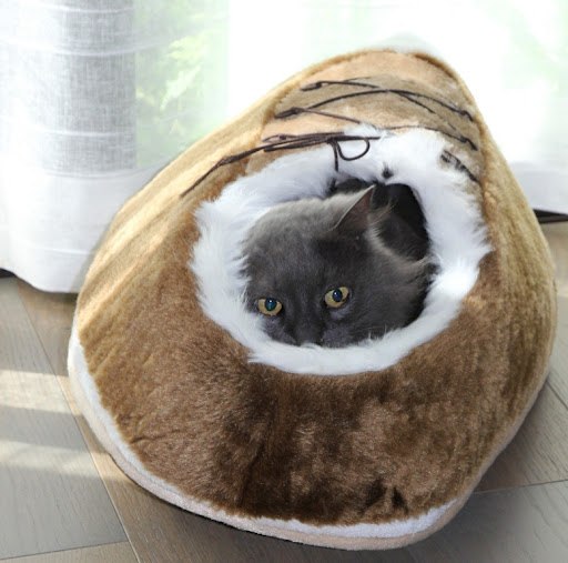 Даешь каждому коту по ботинку!