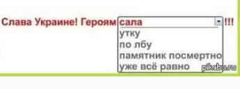 В Украине начали убивать за крик "Слава Украине"