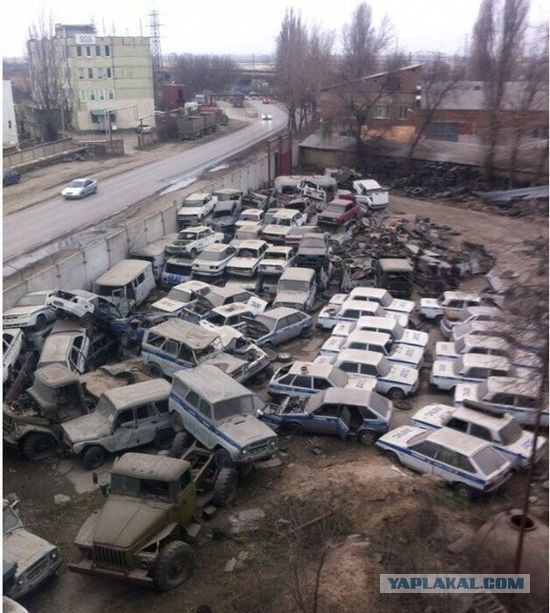 Подборка прикольных фото из сети