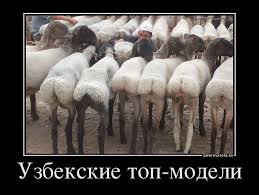 Как устроен бизнес эскорт-услуг.