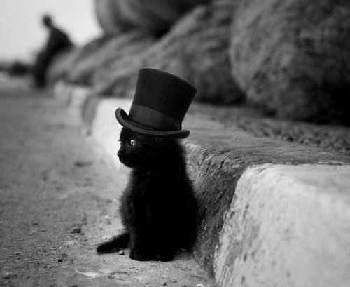 Картинки на пятницу
