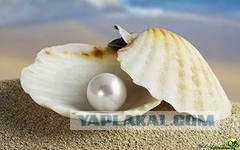 Скажи НЕТ транспортному налогу