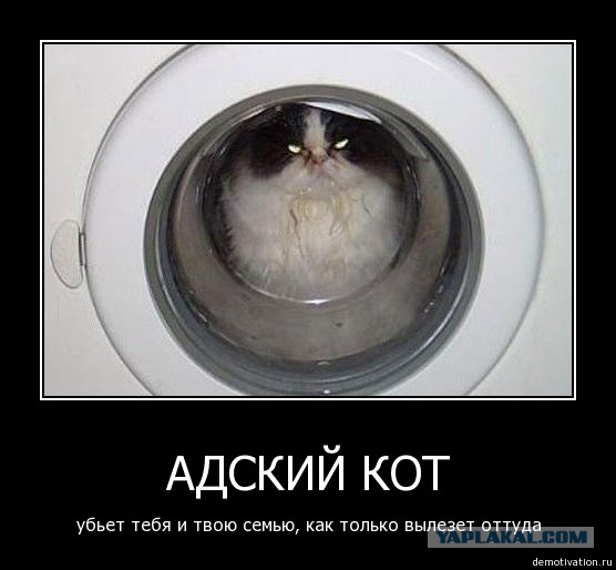 Добрый пёс со слабыми нервами.