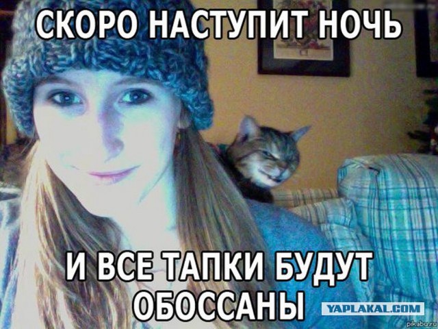 Новая подборка картинок