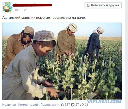 Абсурдный юмор ч.7