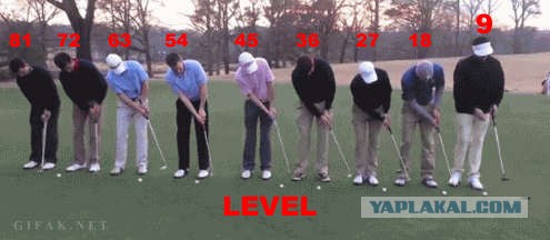 Профи-гольфисты 80-го уровня