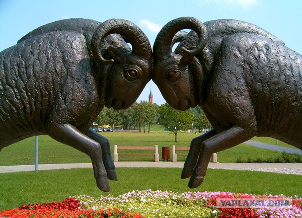 Чёткие ребята