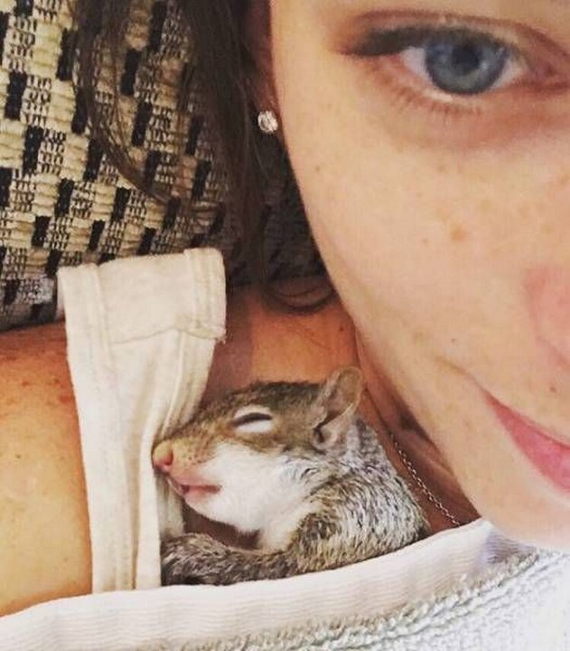 Картинки разные