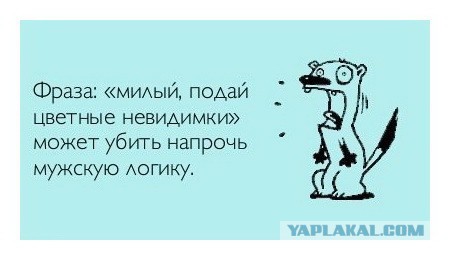 Заставь дурака богу молиться. Как девушка посылала своего парня за косметикой