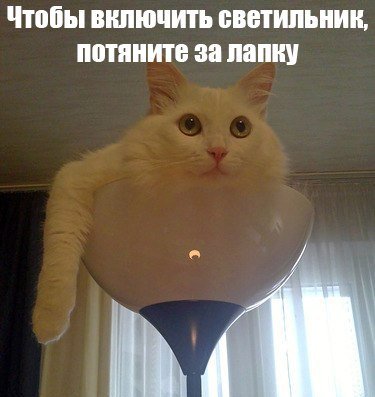 Подборка интересных и веселых картинок