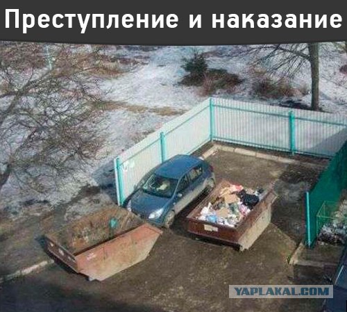 Картинки из сети